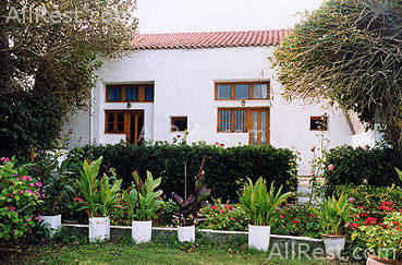 Ismini Apartments 